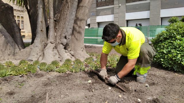 El Ayuntamiento de Murcia reduce el riego de más de 700.000 metros cuadrados de praderas de césped - 2, Foto 2