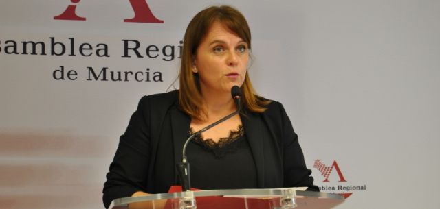 El PSOE critica que el Gobierno regional decida envenenar el aire de la ciudadanía de la Región al rechazar una ley de gestión de residuos agrícolas - 1, Foto 1