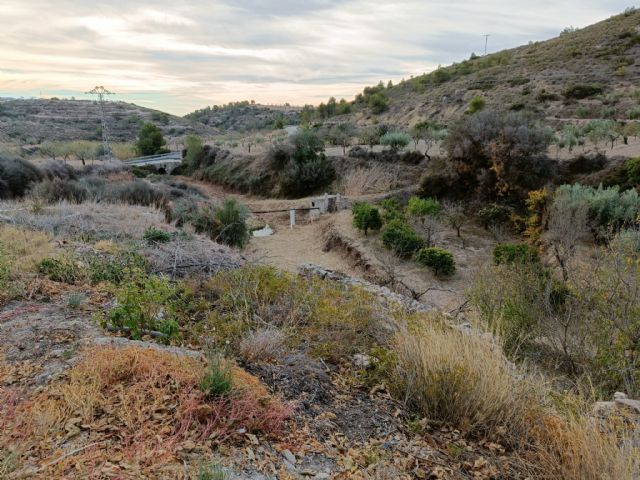 La Comunidad potencia el valor natural del Barranco del Infierno con su restauración - 2, Foto 2