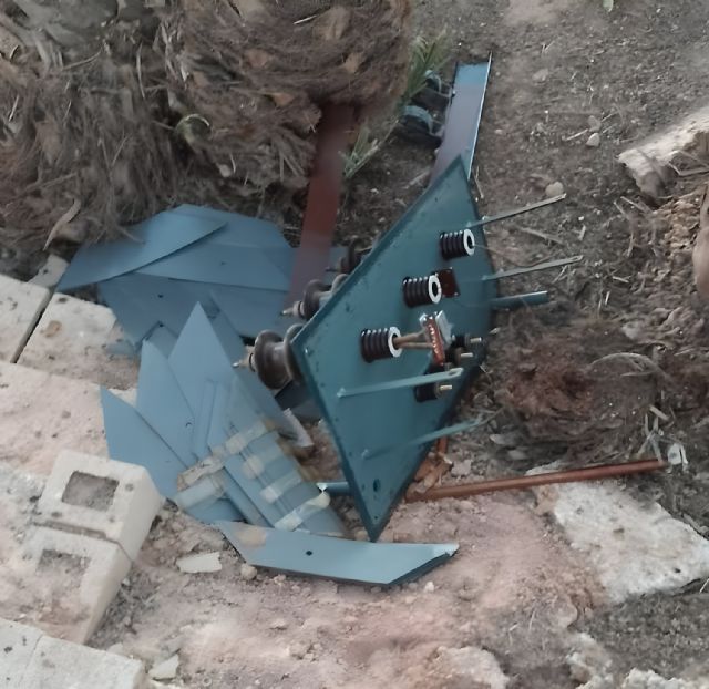 Denuncian una oleada de robos de alcachofas en la Vega Baja - 1, Foto 1