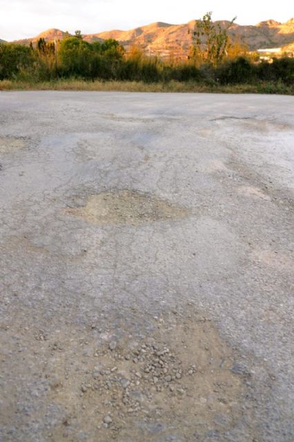 Crecen las denuncias vecinales ante el abandono generalizado de los carriles de la huerta de Murcia - 2, Foto 2