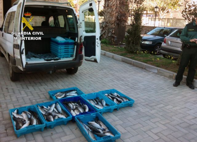 La Guardia Civil decomisa 100 kilos de pescado en una furgoneta de venta ambulante - 1, Foto 1