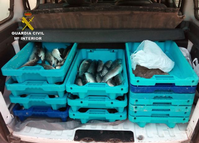 La Guardia Civil decomisa 100 kilos de pescado en una furgoneta de venta ambulante - 3, Foto 3