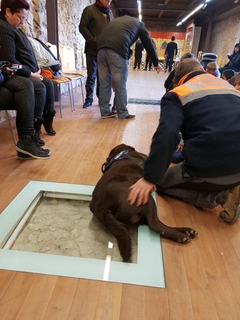 La Unidad Canina de Protección Civil participa en unas jornadas de terapia para niños - 3, Foto 3
