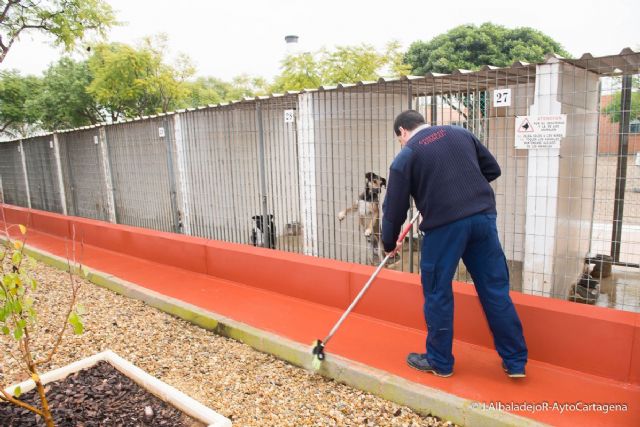 Una inspeccion de la Comunidad Autonoma y el SEPRONA certifica buenas condiciones higienicas en instalaciones y animales del CATAD - 1, Foto 1