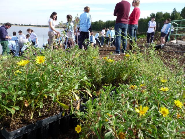 HIDROGEA y ANSE celebran el día mundial de los humedales en las lagunas de la EDAR Cabezo Beaza - 1, Foto 1