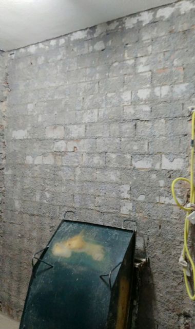 Comienzan las obras de renovación de los aseos de profesores del colegio 'Vista Alegre' - 4, Foto 4