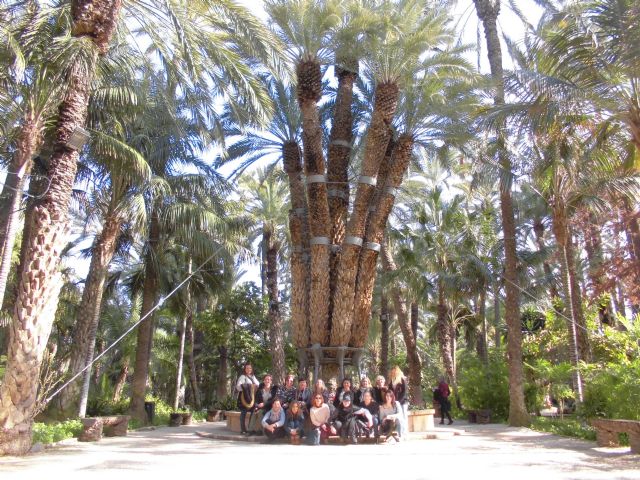 Visita al Salón de la Planta Ornamental (Elche) en el taller de empleo 'Jardines de Bullas' - 1, Foto 1