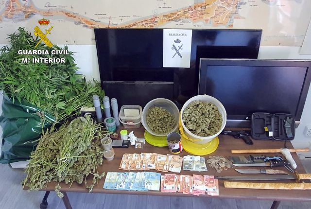Nuevo golpe al cultivo ilícito de marihuana en el Mar Menor - 2, Foto 2