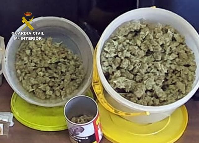 Nuevo golpe al cultivo ilícito de marihuana en el Mar Menor - 1, Foto 1
