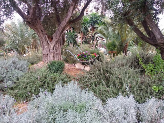El jardín etnobotánico mastia se puede visitar de lunes a viernes de 10:00 a 13:00 horas - 3, Foto 3