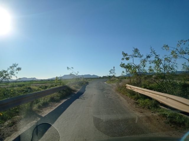 Carmina Fernández: Díez de Revenga se ha convertido en un problema para Cartagena a la que desprecia y humilla cada vez que tiene ocasión - 4, Foto 4