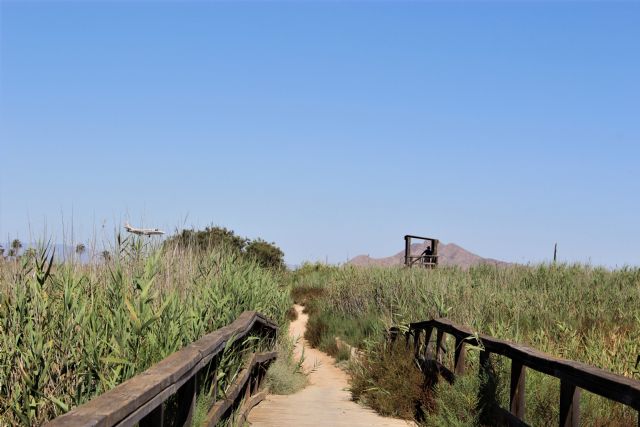 La irresponsable política de gestión del agua pone en grave peligro la supervivencia de los humedales regionales - 1, Foto 1