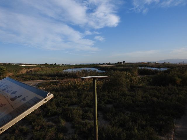 La irresponsable política de gestión del agua pone en grave peligro la supervivencia de los humedales regionales - 2, Foto 2