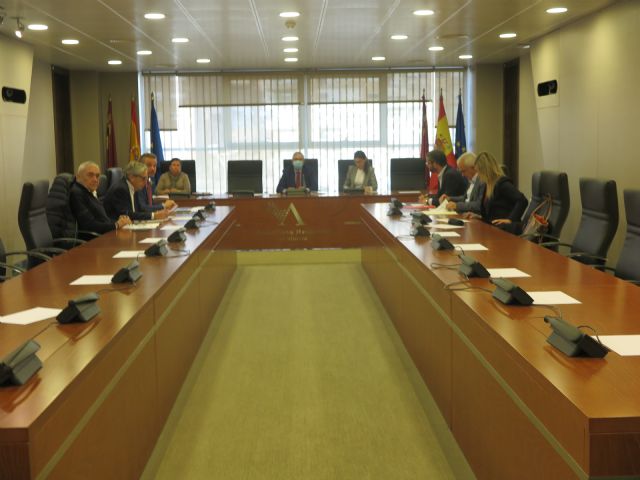 La Comisión Especial para la Infancia y la Adolescencia finaliza sus comparecencias la próxima semana - 1, Foto 1