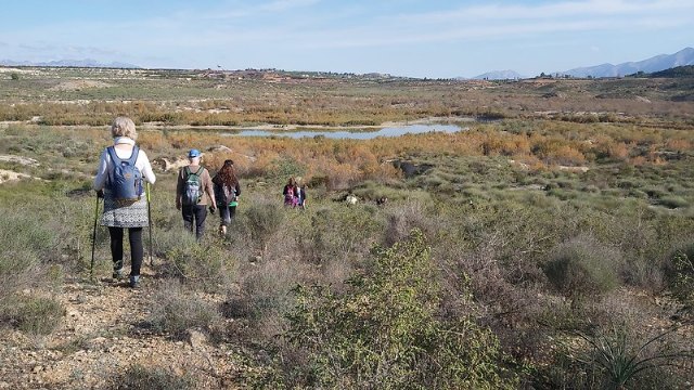 20 actividades para celebrar el Día Mundial de los Humedales - 1, Foto 1