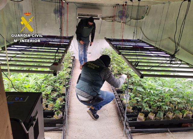 La Guardia Civil desmantela en Murcia un invernadero subterráneo dedicado al cultivo masivo de marihuana - 3, Foto 3