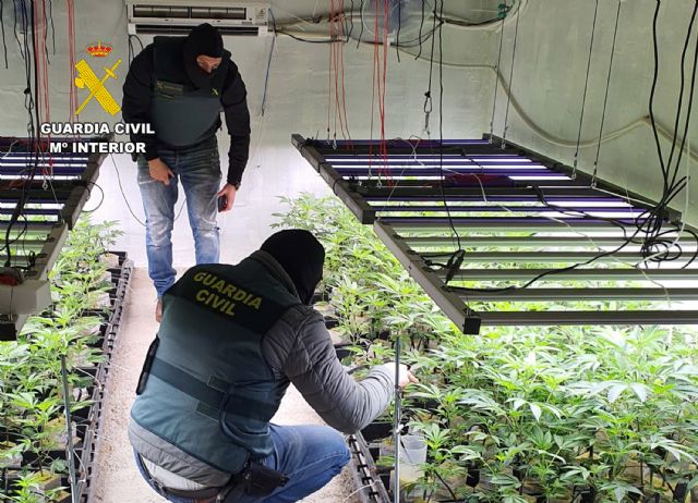 La Guardia Civil desmantela en Murcia un invernadero subterráneo dedicado al cultivo masivo de marihuana - 4, Foto 4