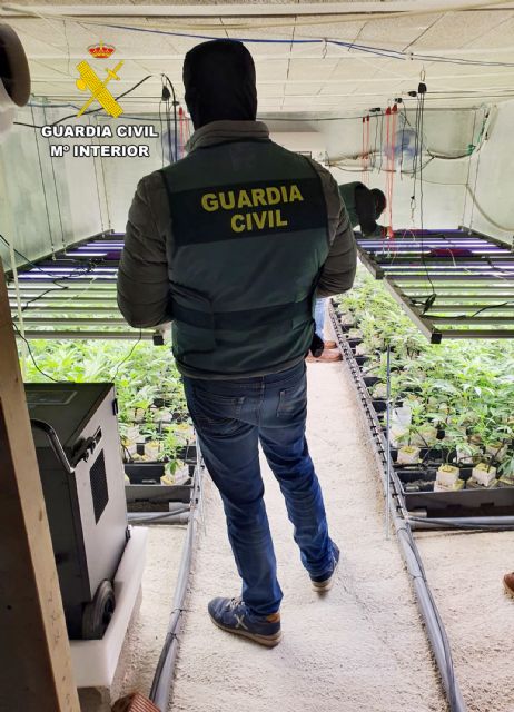 La Guardia Civil desmantela en Murcia un invernadero subterráneo dedicado al cultivo masivo de marihuana - 5, Foto 5