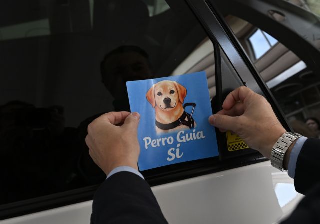 Murcia refuerza la accesibilidad en el taxi para usuarios de perros guía - 2, Foto 2
