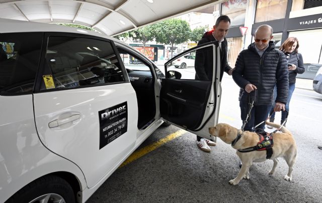 Murcia refuerza la accesibilidad en el taxi para usuarios de perros guía - 3, Foto 3