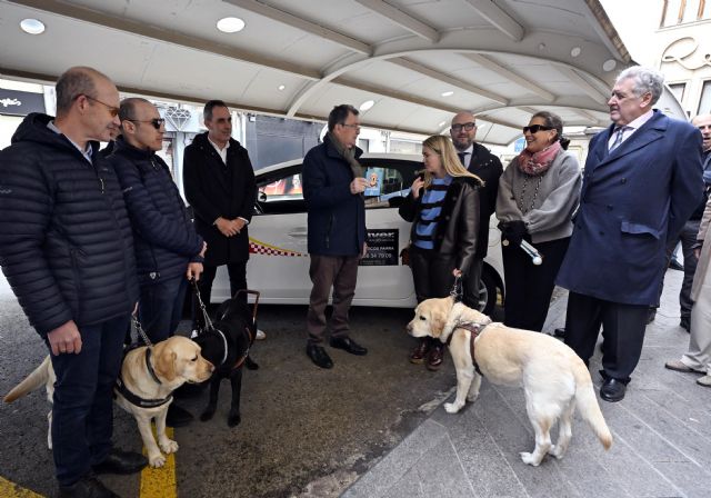 Murcia refuerza la accesibilidad en el taxi para usuarios de perros guía - 4, Foto 4