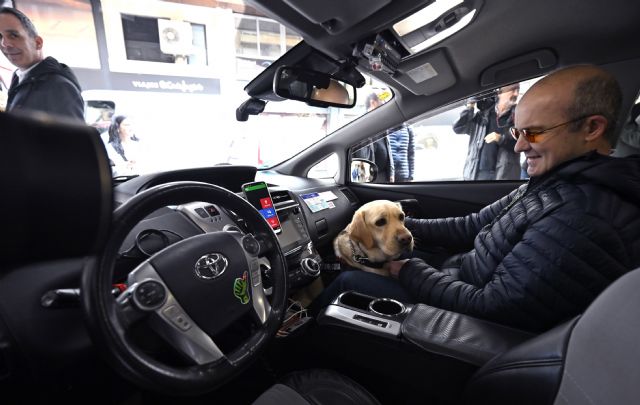 Murcia refuerza la accesibilidad en el taxi para usuarios de perros guía - 5, Foto 5