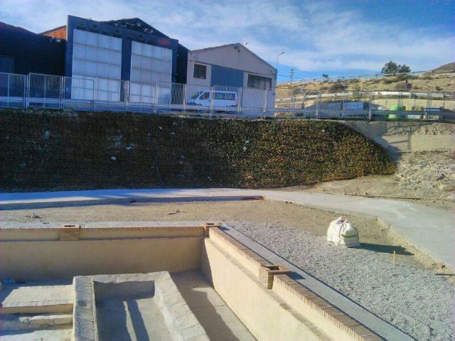 Denuncian la utilización de una especie invasora en unas obras en Cieza - 1, Foto 1