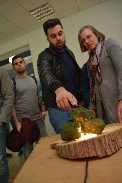 El apoyo al garbancillo de Tallante es espectacular - 2, Foto 2