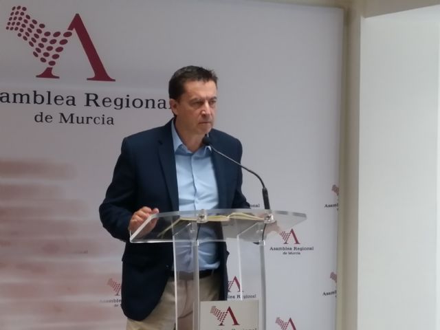 La Asamblea Regional aprueba una propuesta de Ciudadanos para fomentar el conocimiento del castellano en los centros educativos que lo necesiten - 1, Foto 1