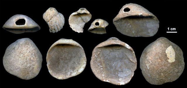 Una investigación publicada en Science Advances atribuye a los neandertales el uso de adornos corporales en conchas - 1, Foto 1
