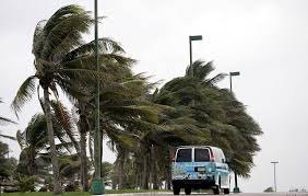 La Aemet emite aviso amarillo por viento para la Vega del Segura - 1, Foto 1