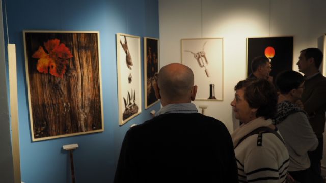 La viticultura y sus elementos en la exposición fotográfica de Juan Miguel Ortuño - 2, Foto 2