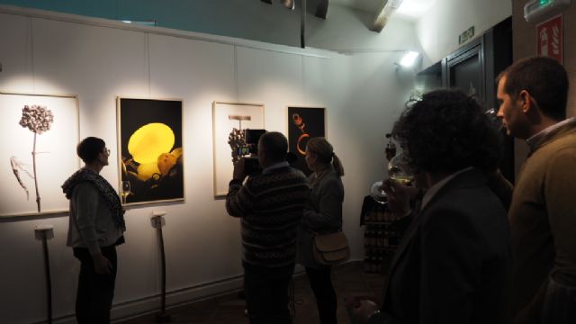 La viticultura y sus elementos en la exposición fotográfica de Juan Miguel Ortuño - 3, Foto 3