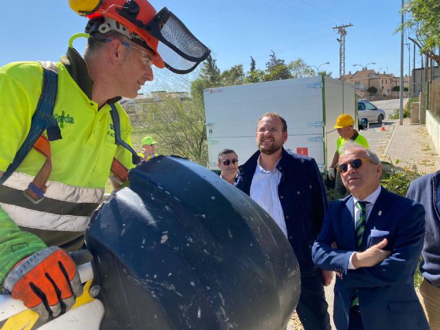 Parques y Jardines poda más de un millar de árboles de los centros deportivos del municipio - 2, Foto 2
