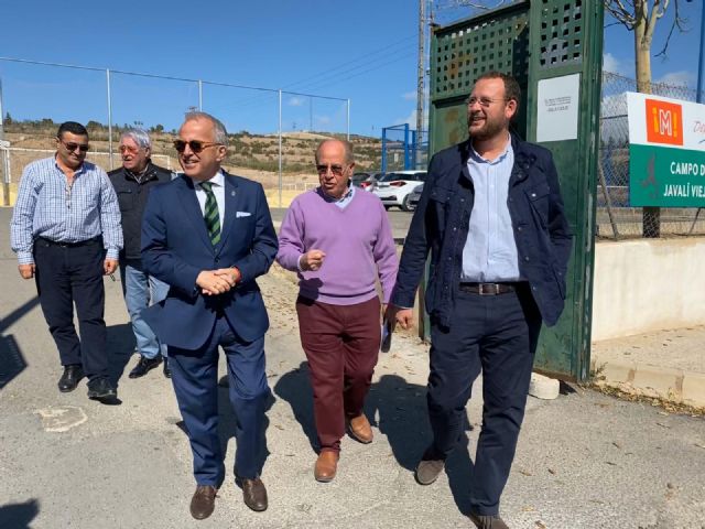 Parques y Jardines poda más de un millar de árboles de los centros deportivos del municipio - 3, Foto 3