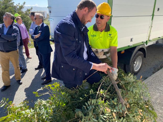 Parques y Jardines poda más de un millar de árboles de los centros deportivos del municipio - 4, Foto 4