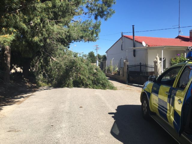 El Ayuntamiento de Lorca activa el Nivel 0 del Plan de Emergencia Municipal ante el aviso de nivel naranja por rachas de viento emitido por AEMET - 1, Foto 1