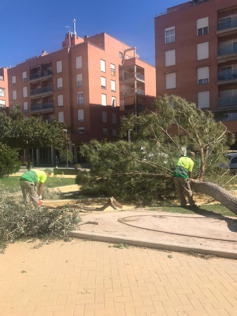 El 112 recibe cerca de medio centenar de avisos ocasionados por las fuertes rachas de viento registradas desde la pasada madrugada en Lorca - 1, Foto 1