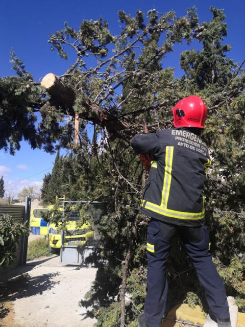 El 112 recibe cerca de medio centenar de avisos ocasionados por las fuertes rachas de viento registradas desde la pasada madrugada en Lorca - 2, Foto 2