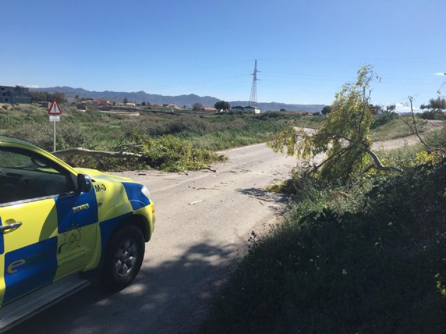El 112 recibe cerca de medio centenar de avisos ocasionados por las fuertes rachas de viento registradas desde la pasada madrugada en Lorca - 3, Foto 3