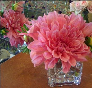 Una flor, un país - 2, Foto 2