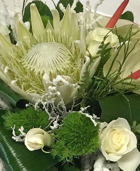 Una flor, un país - 5, Foto 5