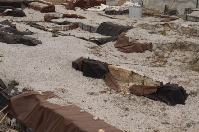 HUERMUR denuncia los derrumbes y el lamentable estado del yacimiento de San Esteban - 4, Foto 4