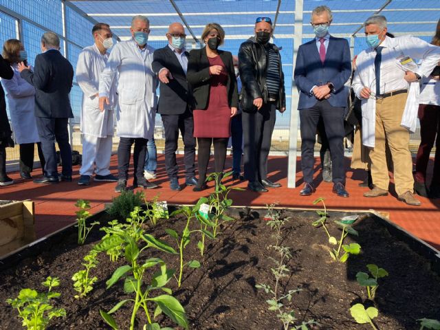 El hospital Santa Lucía estrena una nueva terraza de 120 metros para mejorar la atención de los pacientes psiquiátricos - 2, Foto 2