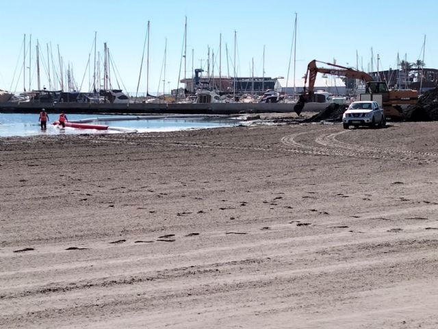 El Ayuntamiento de San Pedro del Pinatar regenera zonas de arena en las playas del Mar Menor - 1, Foto 1