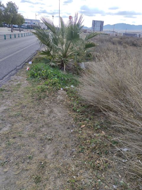 Demanda de acondicionamiento de tramo en Avda. de Murcia - 3, Foto 3