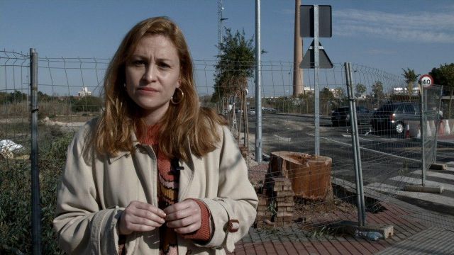 Podemos e IU Verdes denuncian que el Ayuntamiento no haya protegido el eucalipto centenario de Barriomar siguiendo la Ley de Patrimonio Arbóreo - 1, Foto 1