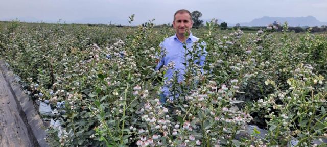 Originalius se incorpora al ecosistema de la plataforma especializada AgritechMurcia - 2, Foto 2