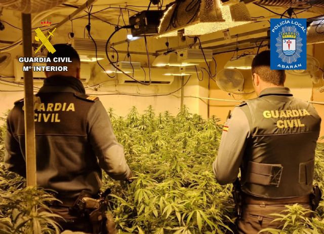 Desmantelan un grupo delictivo en Abarán dedicado al cultivo ilícito de marihuana - 1, Foto 1